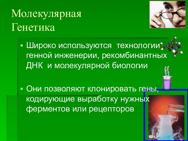 Молекулярная Генетика Широко используются технологии генной инженерии, рекомбинантных ДНК и