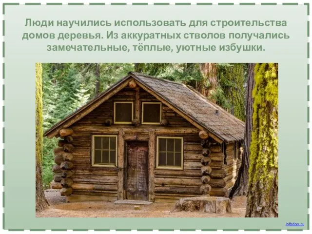 Люди научились использовать для строительства домов деревья. Из аккуратных стволов получались замечательные, тёплые, уютные избушки. Infodoo.ru