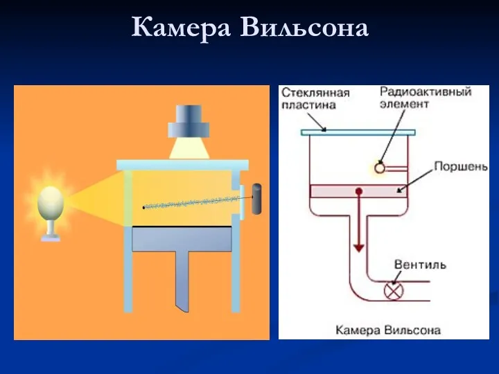 Камера Вильсона