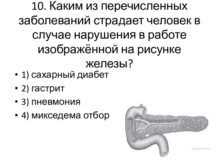 10. Каким из перечисленных заболеваний страдает человек в случае нарушения