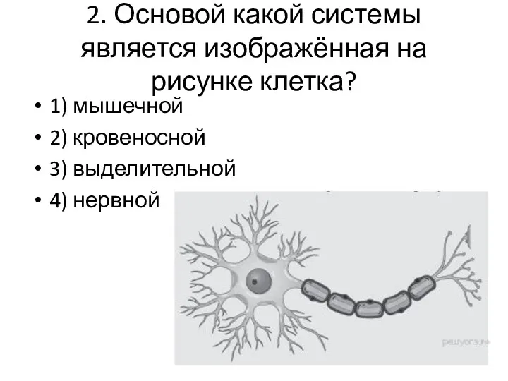 2. Основой какой системы является изображённая на рисунке клетка? 1)