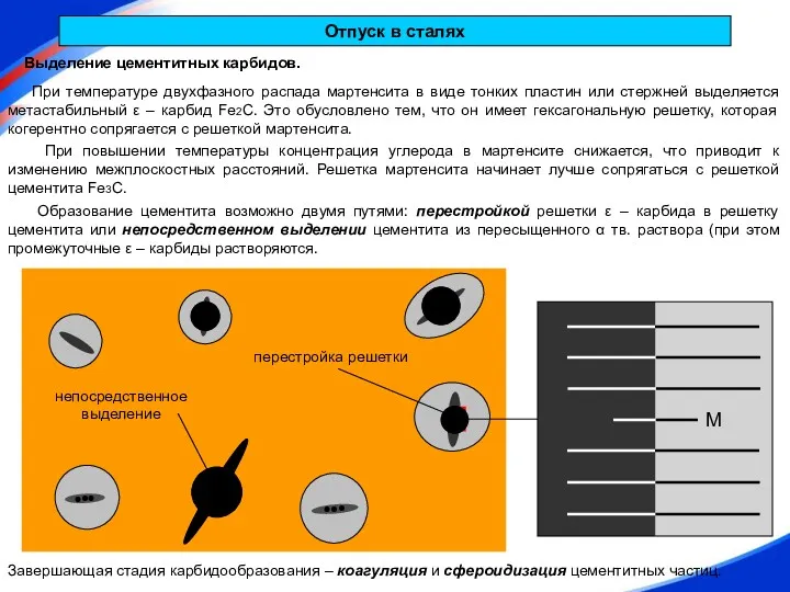 Отпуск в сталях Выделение цементитных карбидов. При температуре двухфазного распада