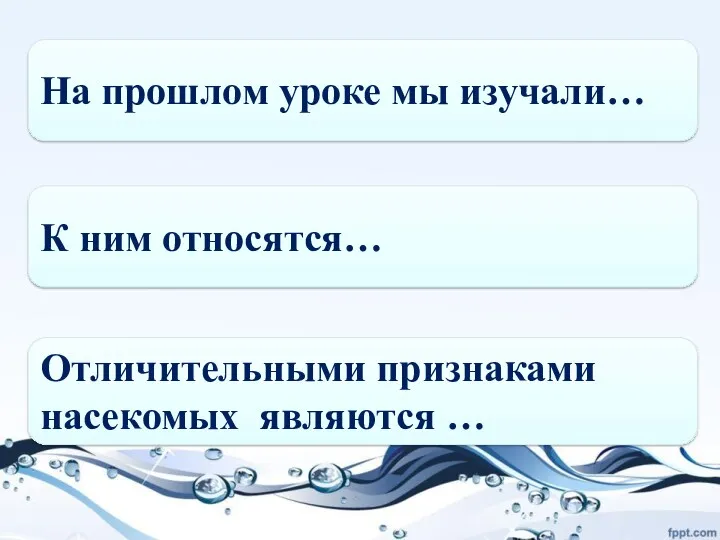 На прошлом уроке мы изучали… К ним относятся… Отличительными признаками насекомых являются …