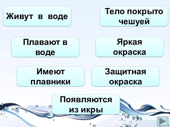 Живут в воде Плавают в воде Имеют плавники Появляются из