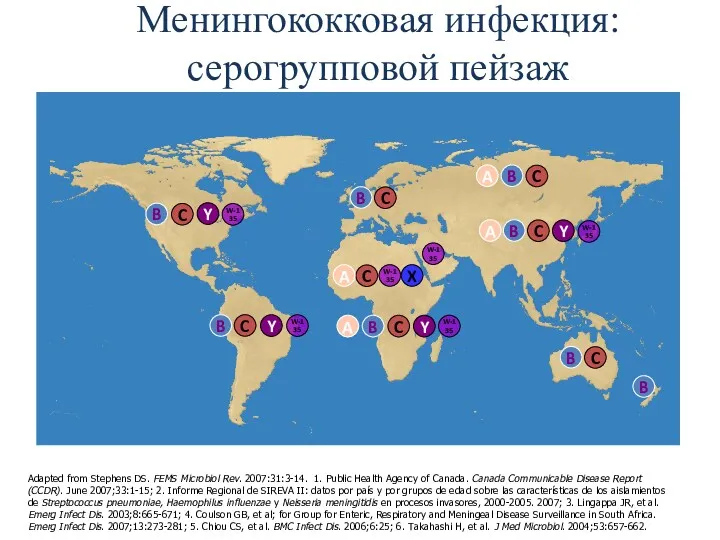 Менингококковая инфекция: серогрупповой пейзаж Adapted from Stephens DS. FEMS Microbiol