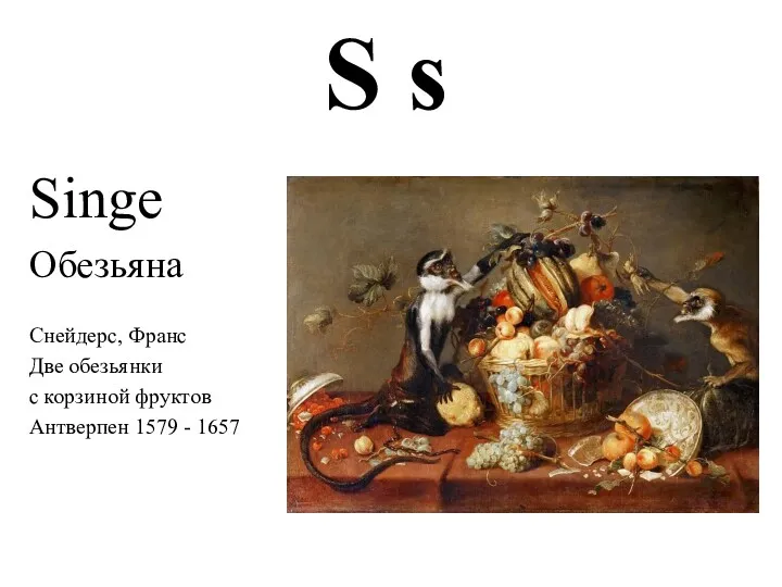S s Singe Обезьяна Снейдерс, Франс Две обезьянки с корзиной фруктов Антверпен 1579 - 1657