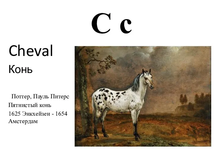 C c Cheval Конь Поттер, Пауль Питерс Пятнистый конь 1625 Энкхейзен - 1654 Амстердам