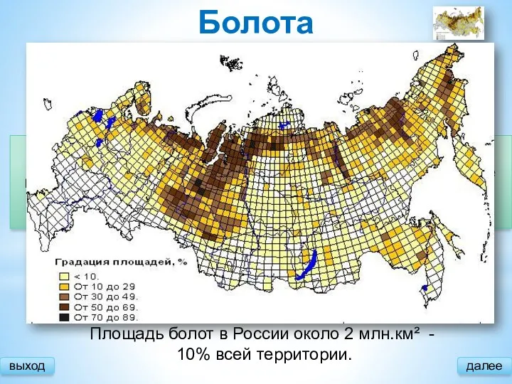 выход далее Болота Причины образования: Большое количество осадков Малое испарение