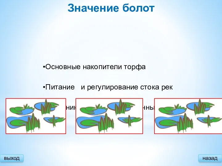 выход Значение болот Основные накопители торфа Питание и регулирование стока