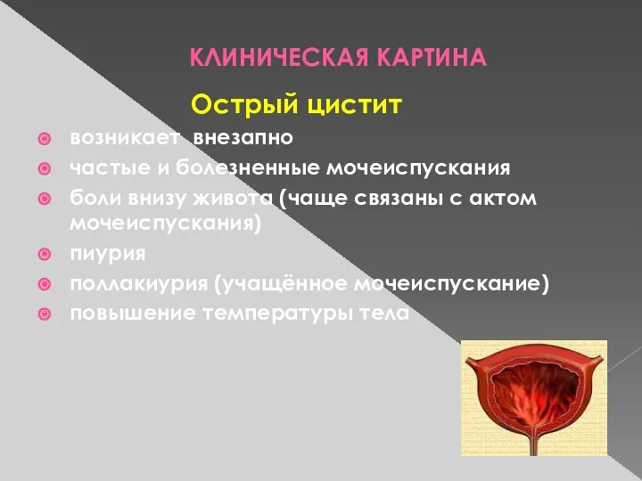 КЛИНИЧЕСКАЯ КАРТИНА Острый цистит возникает внезапно частые и болезненные мочеиспускания боли внизу живота