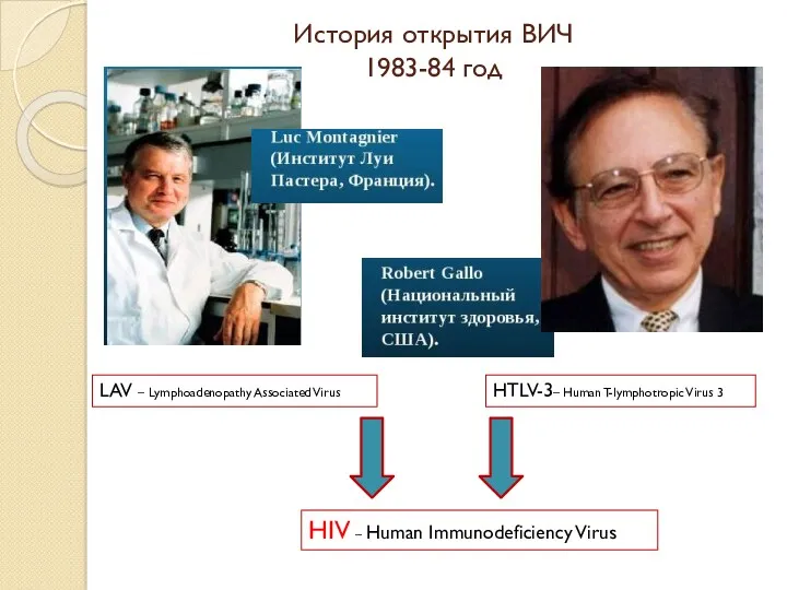 История открытия ВИЧ 1983-84 год LAV – Lymphoadenopathy Associated Virus HTLV-3– Human T-lymphotropic