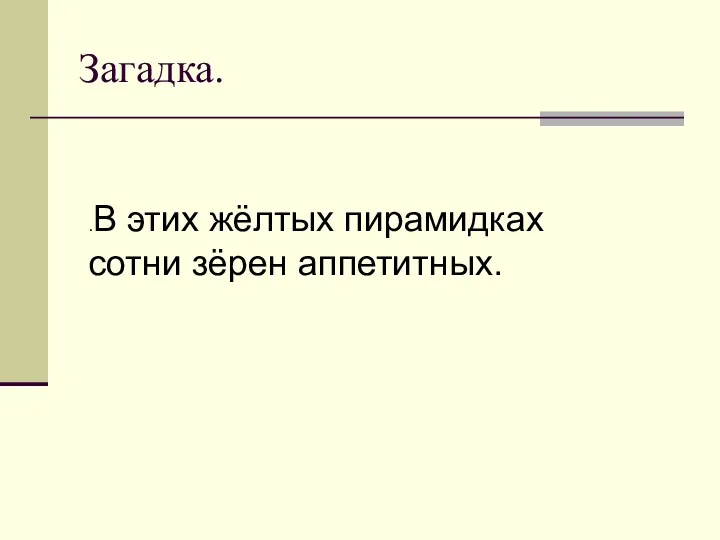 Загадка. .В этих жёлтых пирамидках сотни зёрен аппетитных.