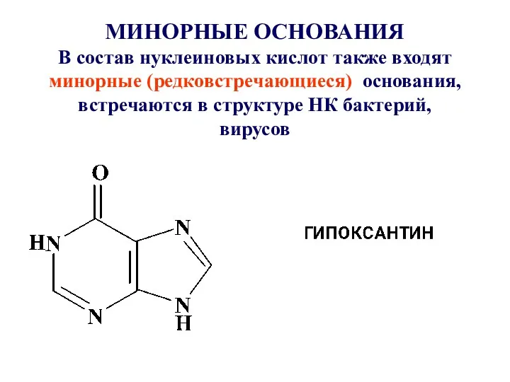 МИНОРНЫЕ ОСНОВАНИЯ В состав нуклеиновых кислот также входят минорные (редковстречающиеся)