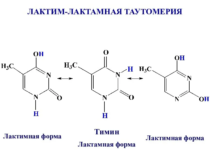 ЛАКТИМ-ЛАКТАМНАЯ ТАУТОМЕРИЯ Тимин Лактамная форма Лактимная форма Лактимная форма