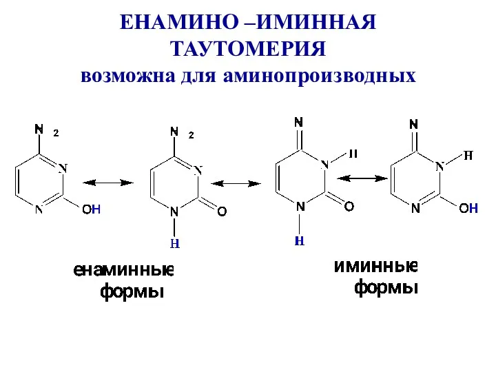 ЕНАМИНО –ИМИННАЯ ТАУТОМЕРИЯ возможна для аминопроизводных