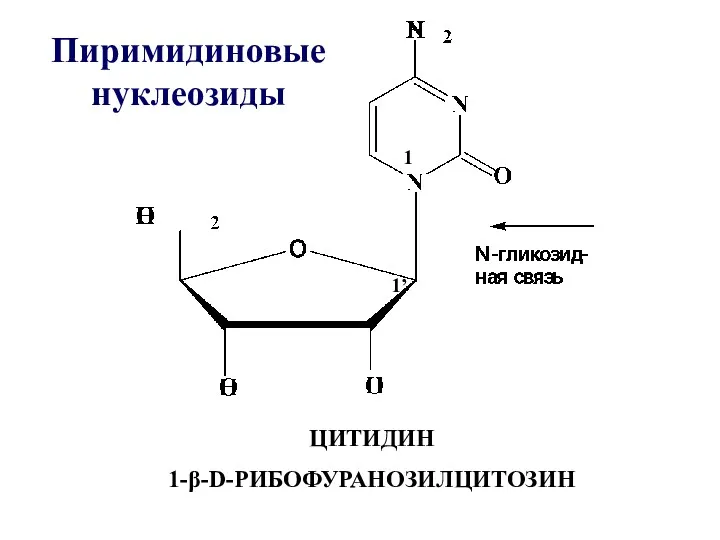 ЦИТИДИН 1-β-D-РИБОФУРАНОЗИЛЦИТОЗИН Пиримидиновые нуклеозиды 1 1’