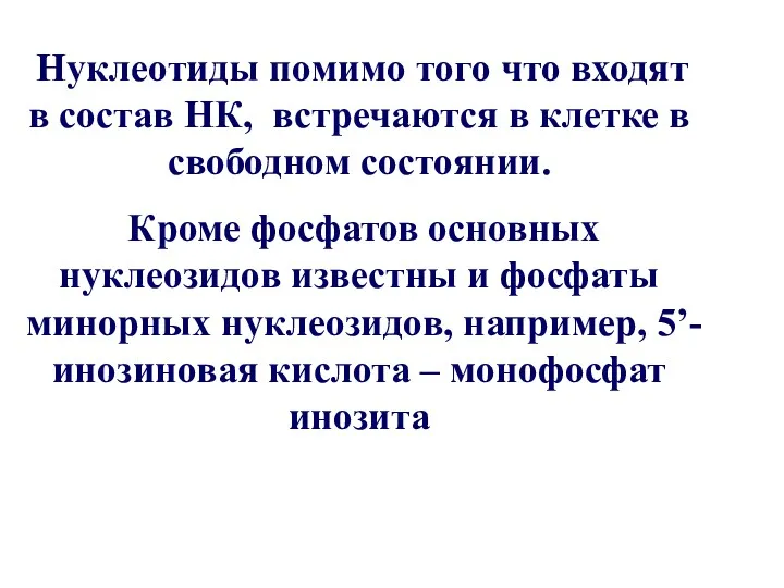 Нуклеотиды помимо того что входят в состав НК, встречаются в