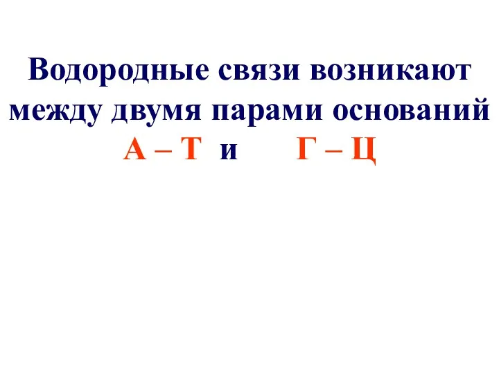 Водородные связи возникают между двумя парами оснований А – Т и Г – Ц