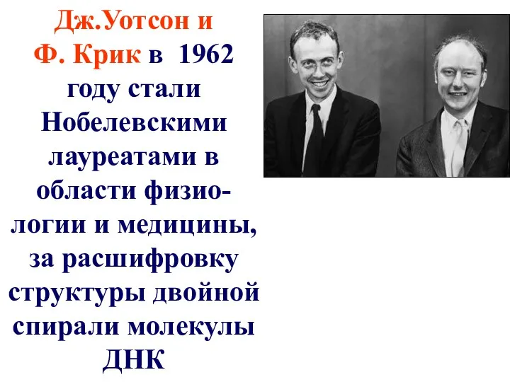 Дж.Уотсон и Ф. Крик в 1962 году стали Нобелевскими лауреатами