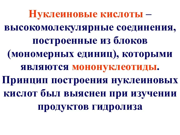 Нуклеиновые кислоты – высокомолекулярные соединения, построенные из блоков (мономерных единиц),