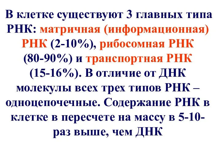 В клетке существуют 3 главных типа РНК: матричная (информационная) РНК