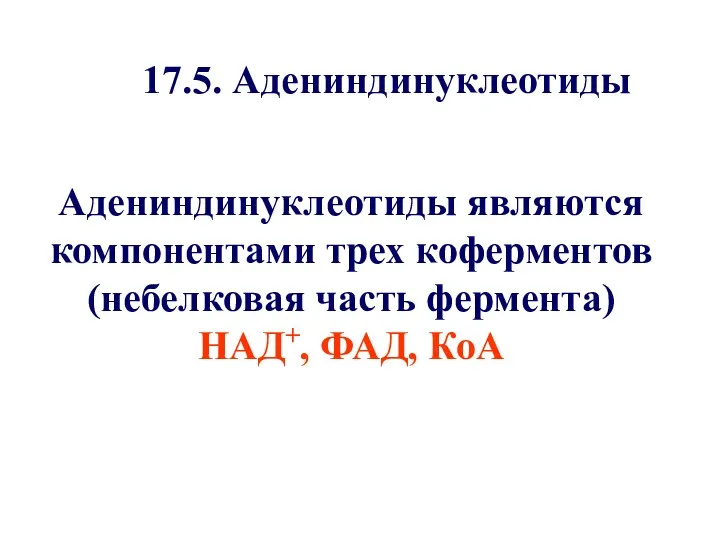 17.5. Адениндинуклеотиды Адениндинуклеотиды являются компонентами трех коферментов (небелковая часть фермента) НАД+, ФАД, КоА