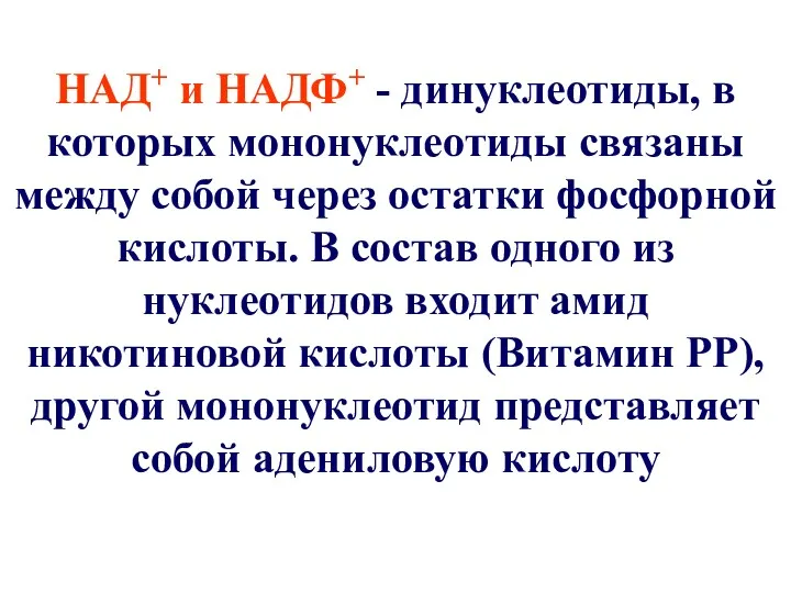 НАД+ и НАДФ+ - динуклеотиды, в которых мононуклеотиды связаны между