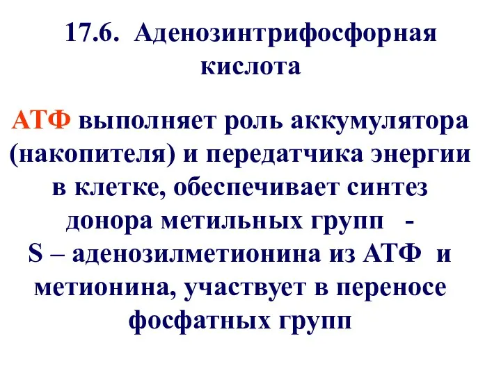 17.6. Аденозинтрифосфорная кислота АТФ выполняет роль аккумулятора (накопителя) и передатчика