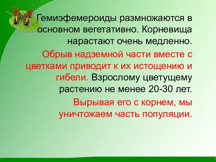 Гемиэфемероиды размножаются в основном вегетативно. Корневища нарастают очень медленно. Обрыв