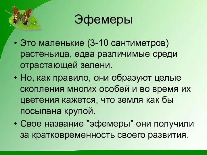 Эфемеры Это маленькие (3-10 сантиметров) растеньица, едва различимые среди отрастающей