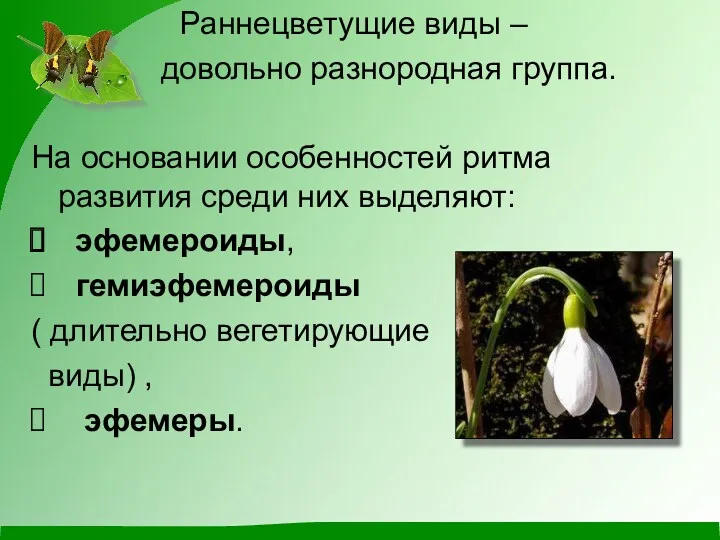 Раннецветущие виды – довольно разнородная группа. На основании особенностей ритма