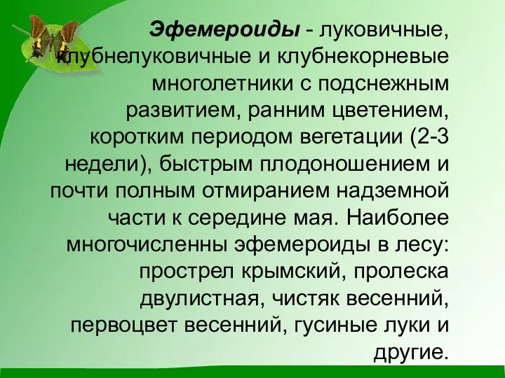 Эфемероиды - луковичные, клубнелуковичные и клубнекорневые многолетники с подснежным развитием,