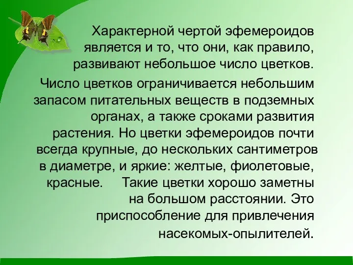 Характерной чертой эфемероидов является и то, что они, как правило,