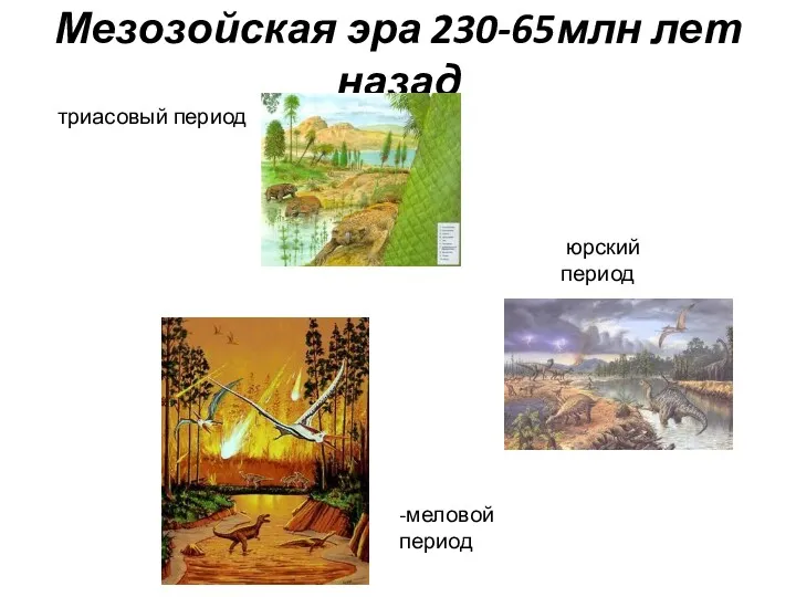 Мезозойская эра 230-65млн лет назад триасовый период -меловой период юрский период