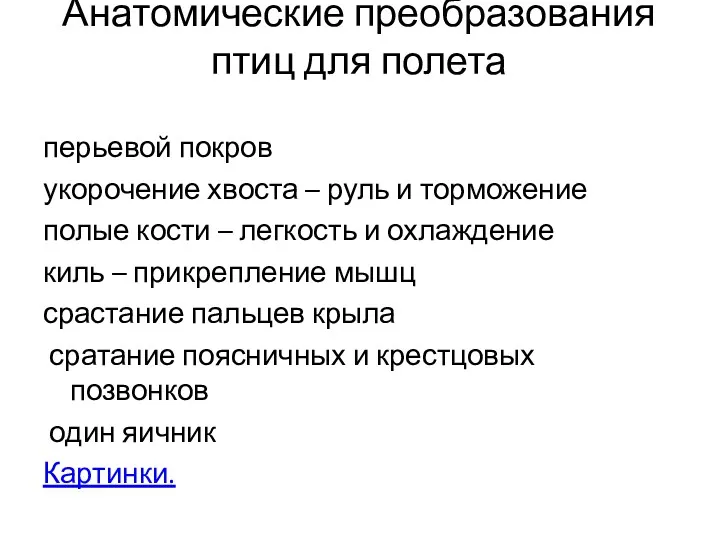 Анатомические преобразования птиц для полета перьевой покров укорочение хвоста –