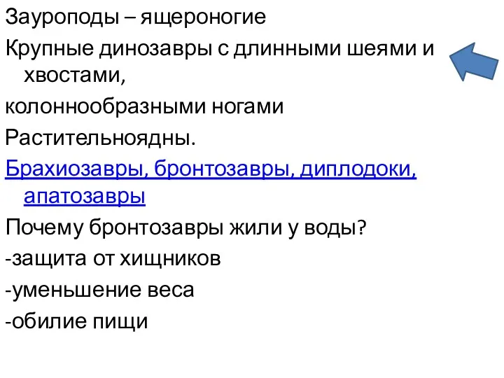 Зауроподы – ящероногие Крупные динозавры с длинными шеями и хвостами,