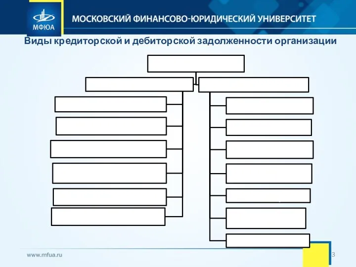 Виды кредиторской и дебиторской задолженности организации