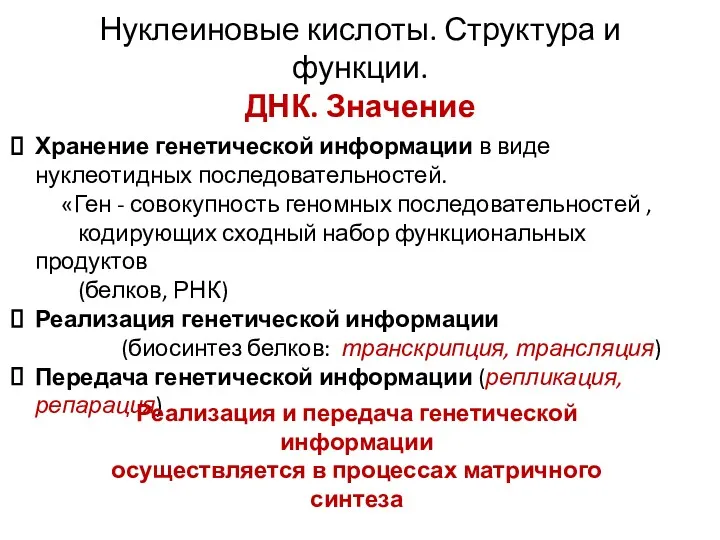 Нуклеиновые кислоты. Структура и функции. ДНК. Значение Хранение генетической информации