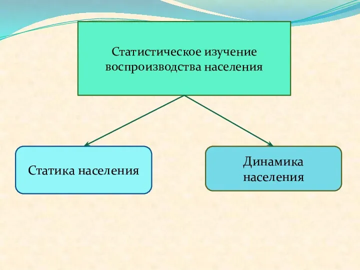 Статистическое изучение воспроизводства населения Статика населения Динамика населения