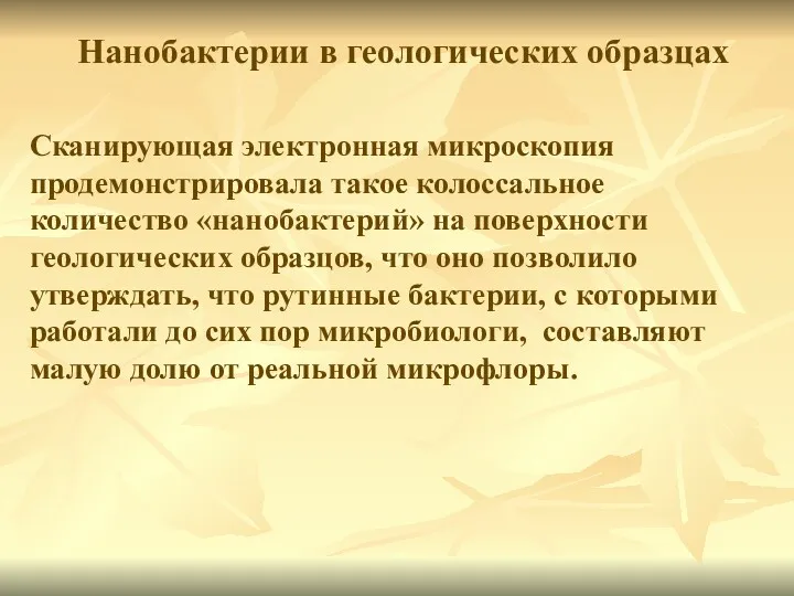 Сканирующая электронная микроскопия продемонстрировала такое колоссальное количество «нанобактерий» на поверхности