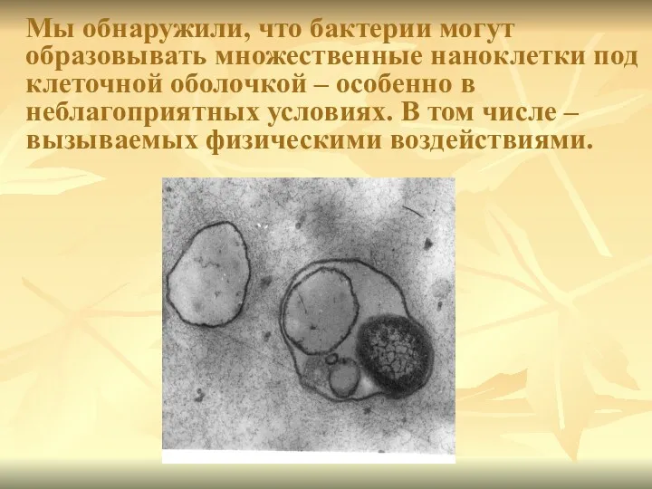 Мы обнаружили, что бактерии могут образовывать множественные наноклетки под клеточной