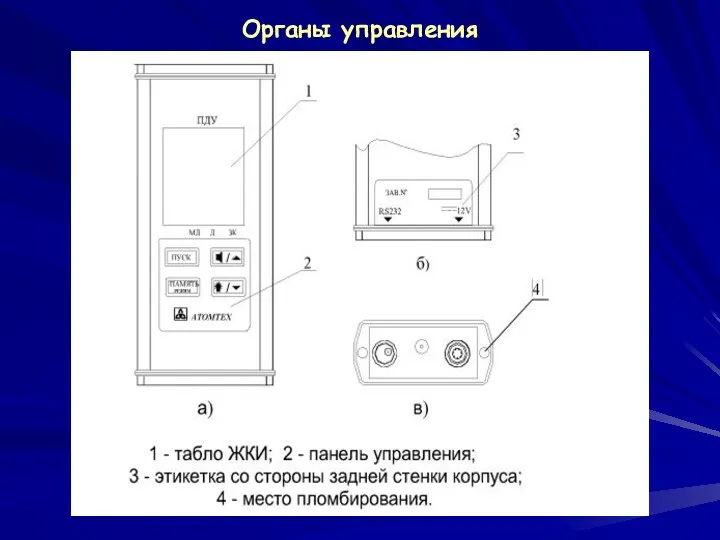 Органы управления