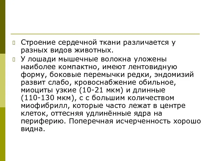 Строение сердечной ткани различается у разных видов животных. У лошади