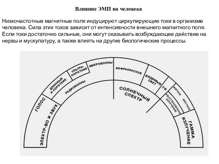 Влияние ЭМП на человека Низкочастотные магнитные поля индуцируют циркулирующие токи