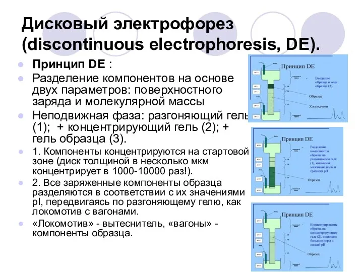 Дисковый электрофорез (discontinuous electrophoresis, DE). Принцип DE : Разделение компонентов
