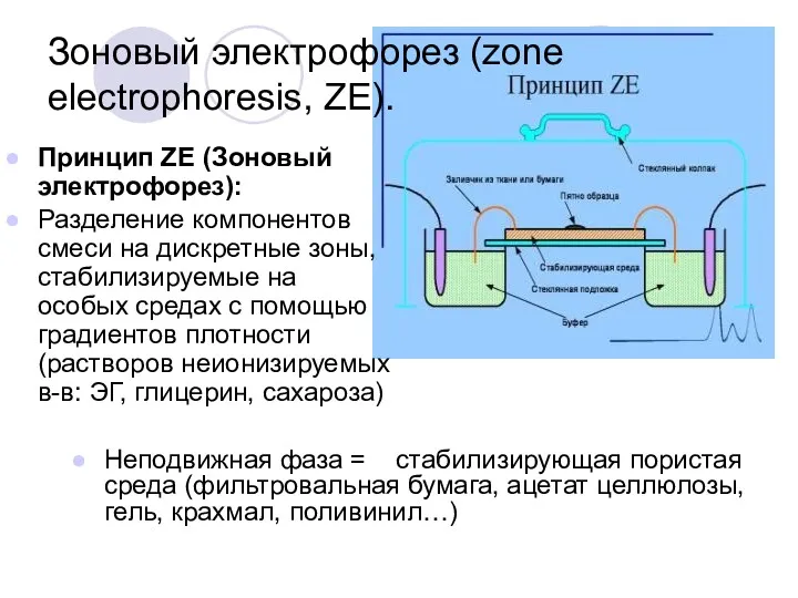 Зоновый электрофорез (zone electrophoresis, ZE). Принцип ZE (Зоновый электрофорез): Разделение