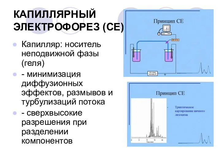 КАПИЛЛЯРНЫЙ ЭЛЕКТРОФОРЕЗ (СE) Капилляр: носитель неподвижной фазы (геля) - минимизация