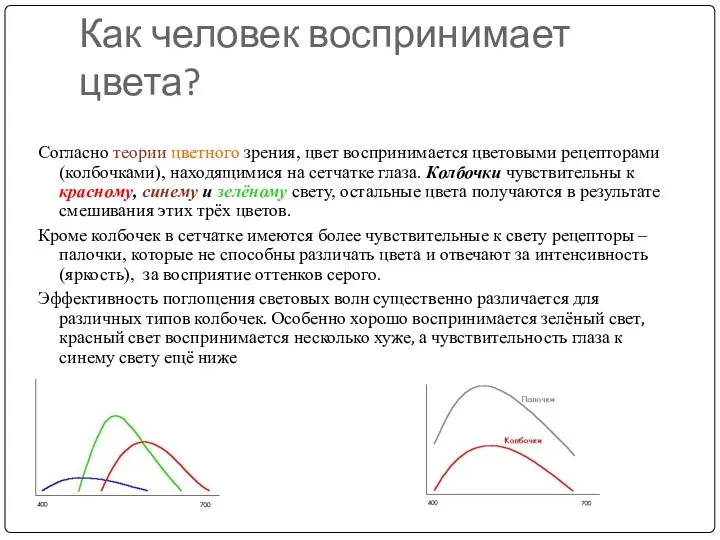 Как человек воспринимает цвета? Согласно теории цветного зрения, цвет воспринимается