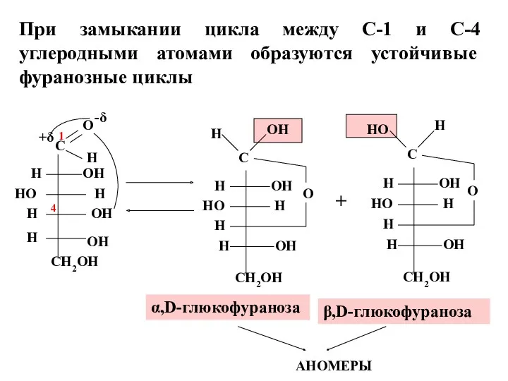 + α,D-глюкофураноза β,D-глюкофураноза 1 При замыкании цикла между С-1 и