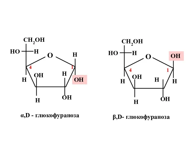 Н α,D - глюкофураноза β,D- глюкофураноза 1 4 1 4 О